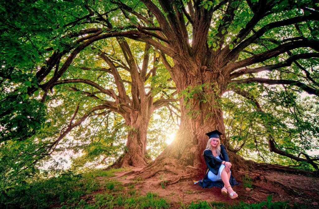 A woman sitting in front of a tree with sun shining through the trees.